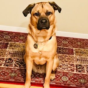 Meet your Posher, Danielle